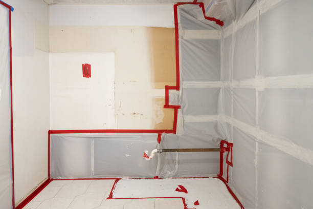 Best Commercial Mold Inspection  in Geneva, FL